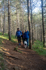 Obraz premium Multi generation family walking in line up the hill on a trail in a forest during a camping holiday, Zlatibor, Serbia. Happy senior father and mother with adult woman child have fun on weekend enjoy