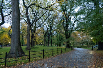 Central Park in Autumn