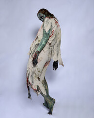 portrait of scary female model wearing spooky halloween costume wearing, ripped clothes and fake blood like an undead apocalyptic zombie character. Isolated walking figure on dark studio background