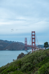 Fototapeta premium The Golden Gate Bridge