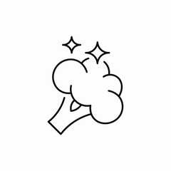 broccoli cauliflower icon sign vector