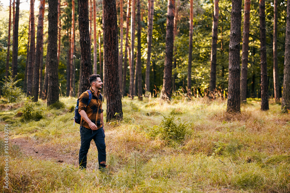 Wall mural hiking man in forest walking with backpack during autumn