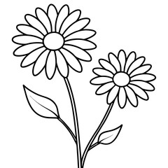 illustration of a daisy