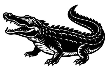 Crocodile vector illustration on white background