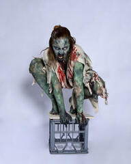 full length portrait of scary female model wearing spooky halloween costume wearing, ripped clothes and fake blood like an undead apocalyptic zombie character. Isolated crouching figure on dark studio