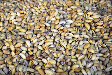 A display case with many roasted pistachios at a Turkish market. Nuts for sale at a bazaar in the city of Gaziantep, the center of pistachio cultivation in Turkey.