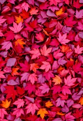 Autumn Leaves Layered in Bold Reds, Deep Purples, Oranges, and Blues with Glossy Wet Finish