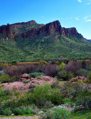 Salt River Recreation Area Arizona