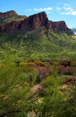 Salt River Recreation Area Arizona