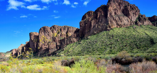 Salt River Recreation Area Arizona