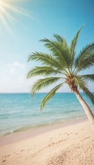 Obraz premium beach with trees