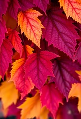 Close-up of Vivid Red, Yellow, Purple, and Blue Autumn Leaves with Natural Imperfections and Soft Light