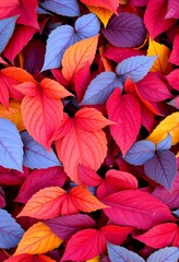 Fototapeta premium Autumn Leaves in Bold Crimson, Gold, and Violet with Blue Accents and Crisp Textures Under Soft Light