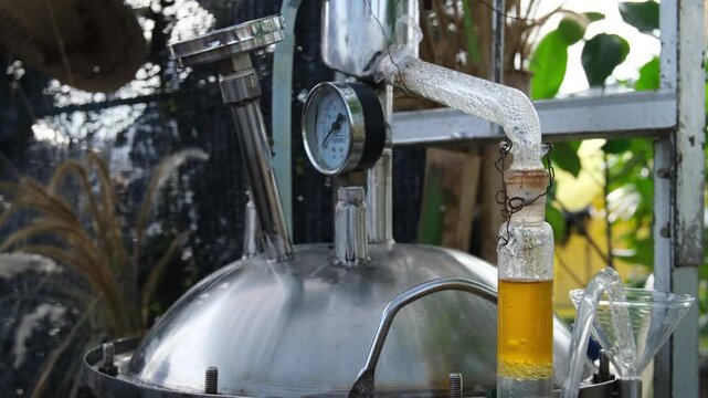 Close-up of a distilled tube containing patchouli essential oil, processed using advanced distillation machine technology. The golden liquid showcases purity and innovation in essential oil production