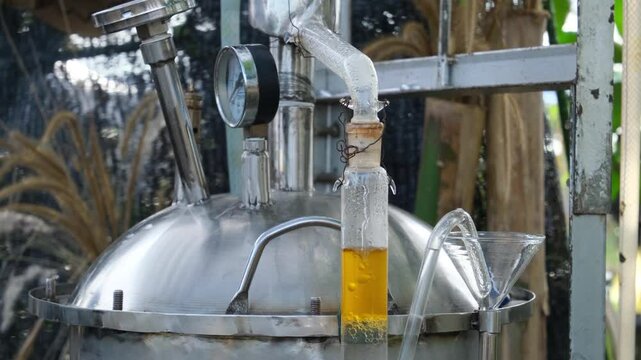 the process of distilling patchouli oil or essential oils using sophisticated industrial machines is contained in glass tubes