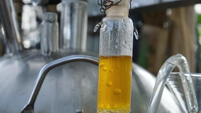 Close-up of the process of distilling patchouli oil or essential oil using a tube containing yellow oil