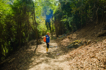 Fototapeta premium hiking in the woods