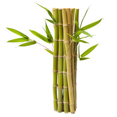 Fototapeta premium Fresh Bamboo Sticks with Green Leaves in a Vertical Arrangement