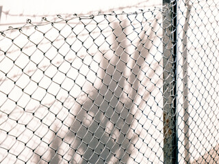 Wire on the fence and shadow on the wall in the shape of a plant