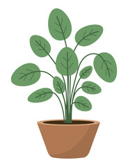 Indoor plant ficus branches with large leaves in a brown ceramic pot. Flat style. Vector illustration.