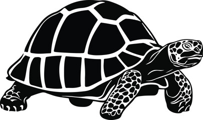 Fototapeta premium black vector tortoise silhouette in white background Ai Generated