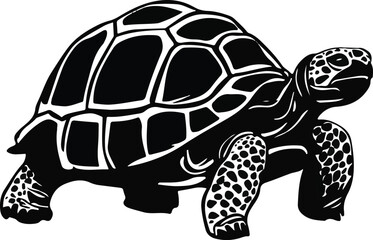 Fototapeta premium black vector tortoise silhouette in white background Ai Generated