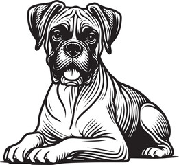 Boxer dog silhouette vector illustration. Black silhouettes of breeds of dogs.