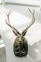skull and horns on the wall