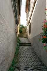 narrow street in the old town
