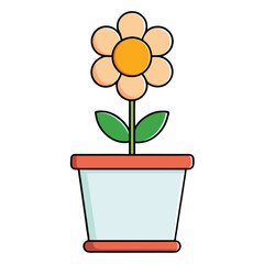 flower in a pot