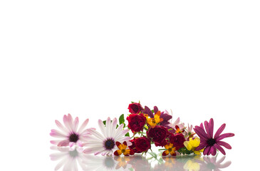 small bouquet of small multi-colored summer flowers