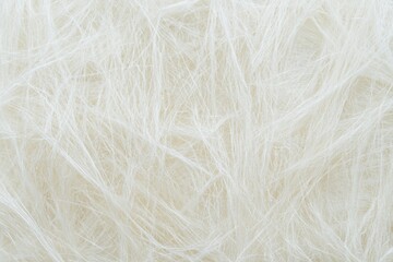 Obraz premium Close-up of Intricate White Fiber Texture