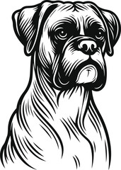 Boxer dog silhouette vector illustration Black silhouettes of breeds of dogs.