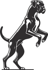 Boxer dog silhouette vector illustration Black silhouettes of breeds of dogs.