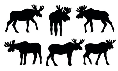 Moose Black Silhouette Vector Set in Different Poses