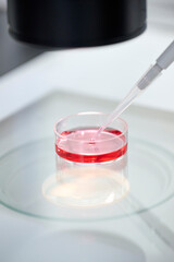 ピペットで培養液を扱う実験のクローズアップ