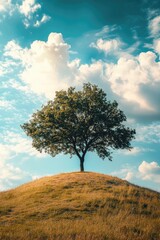 Hilltop Tree Silhouette
