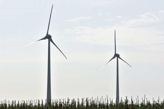 A typical northern German landscape with an orchard and two wind turbines in the background.