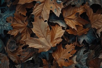 A pile of brown leaves scattered on the ground, perfect for autumn or nature-inspired designs