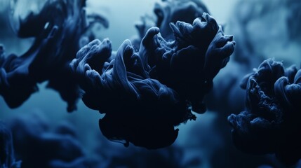 Mysterious Blossoms in the Twilight