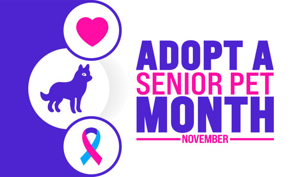 adopt a senior pet month background or banner design template is observed every year in November. Holiday concept. Template for card, poster, placard, template. 