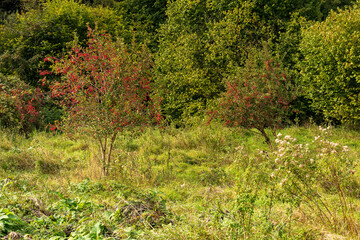 Naturschutzgebiet Kaisbergaue