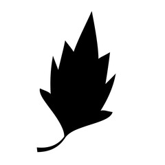 Silhouette of Nature A Collection of Leaves and Floral Motifs