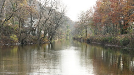 The colorful forest view in the natural park in autumn
