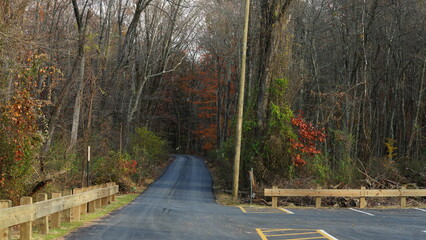 The colorful forest view in the natural park in autumn
