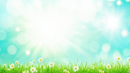 Fototapeta premium A bright, serene landscape with daisies and a soft blue background.