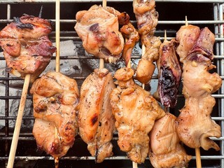 Sausage on Grill with Flames. Charcoal Grilled Chicken. Grilled Chicken Skewers. Thailand street food. Picnic menu