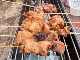 Sausage on Grill with Flames. Charcoal Grilled Chicken. Grilled Chicken Skewers. Thailand street food. Picnic menu