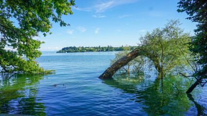 05_Fragment of the beautiful island of Mainau in Lake Constance, Germany.  © Rosen