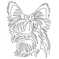 One continuous single drawing line art doodle animal, pet, dog, Yorkshire Terrier, doggy. Isolated flat illustration hand draw contour on a white background
